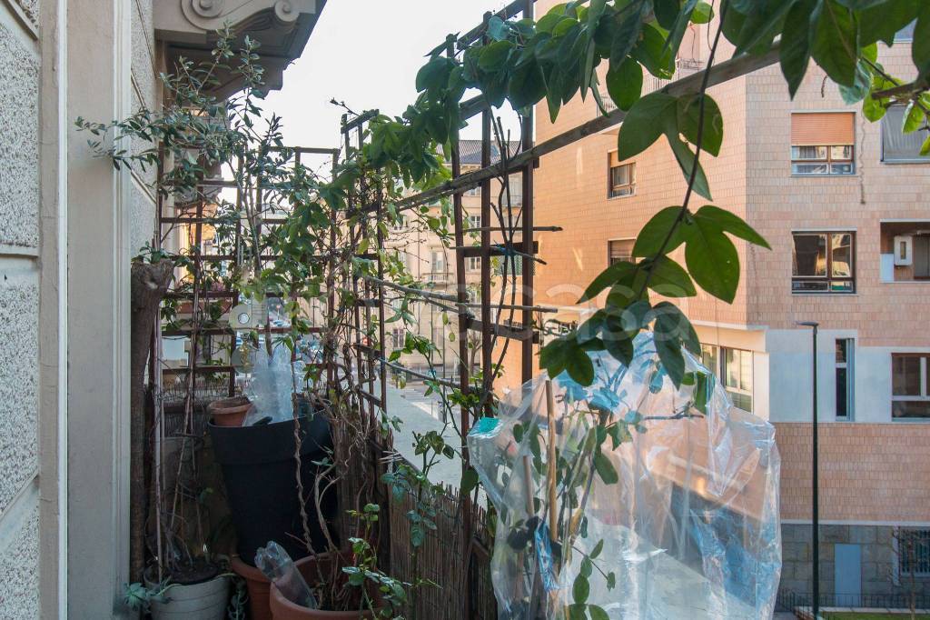 immagine annuncio 2 di 12