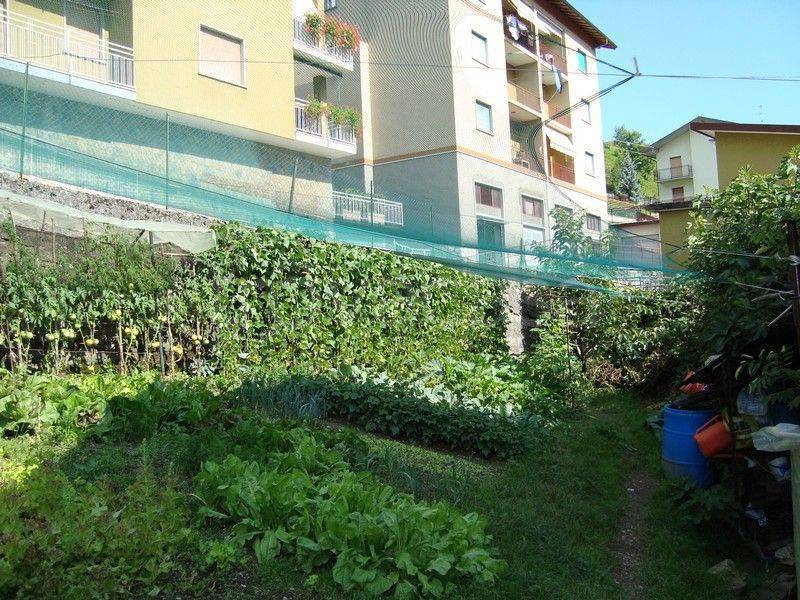 immagine annuncio 3 di 14