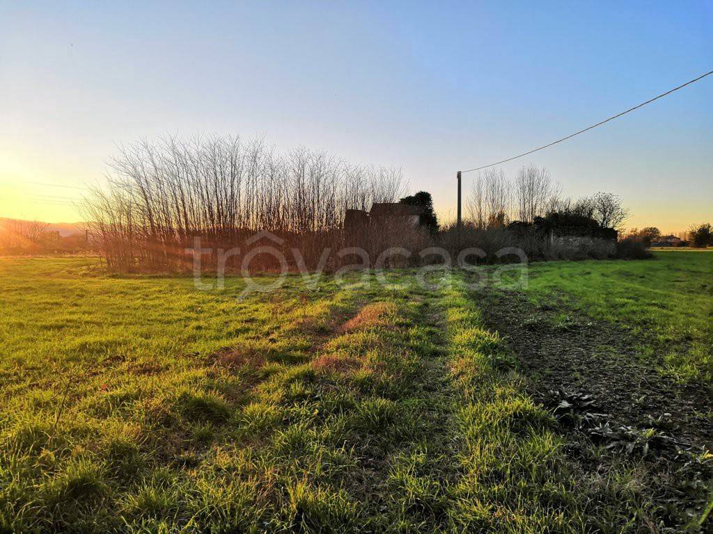 immagine annuncio 3 di 9