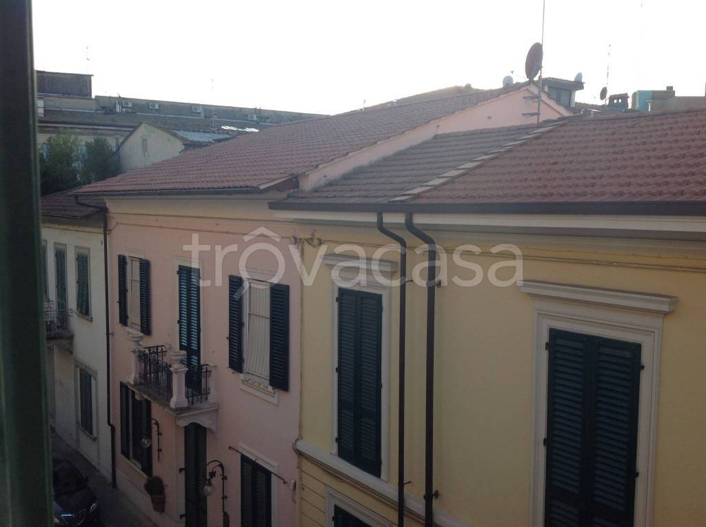 immagine annuncio 3 di 14