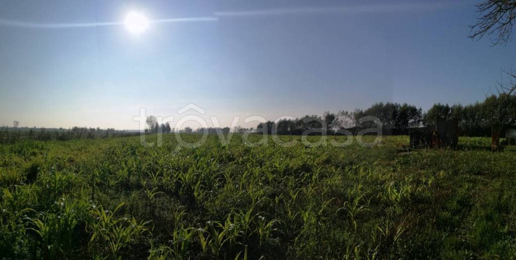 Terreno Agricolo in vendita a Campagna Lupia