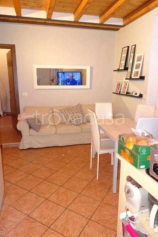 immagine annuncio 4 di 14