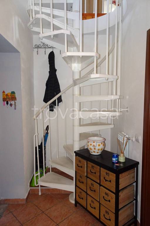 immagine annuncio 9 di 14