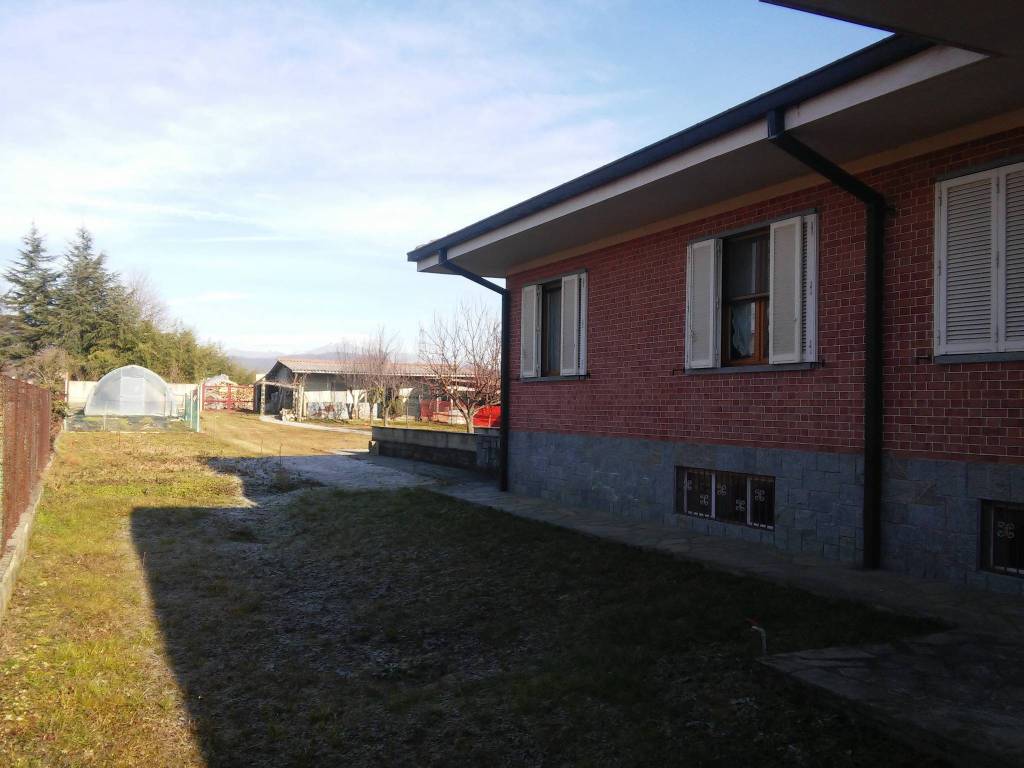 immagine annuncio 3 di 11