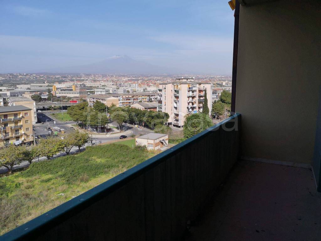 Appartamento in in vendita da privato a Catania via Salvatore Salomone Marino, 41