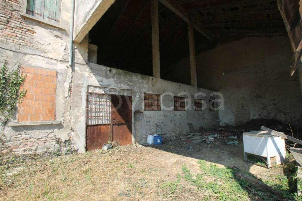 immagine annuncio 4 di 7