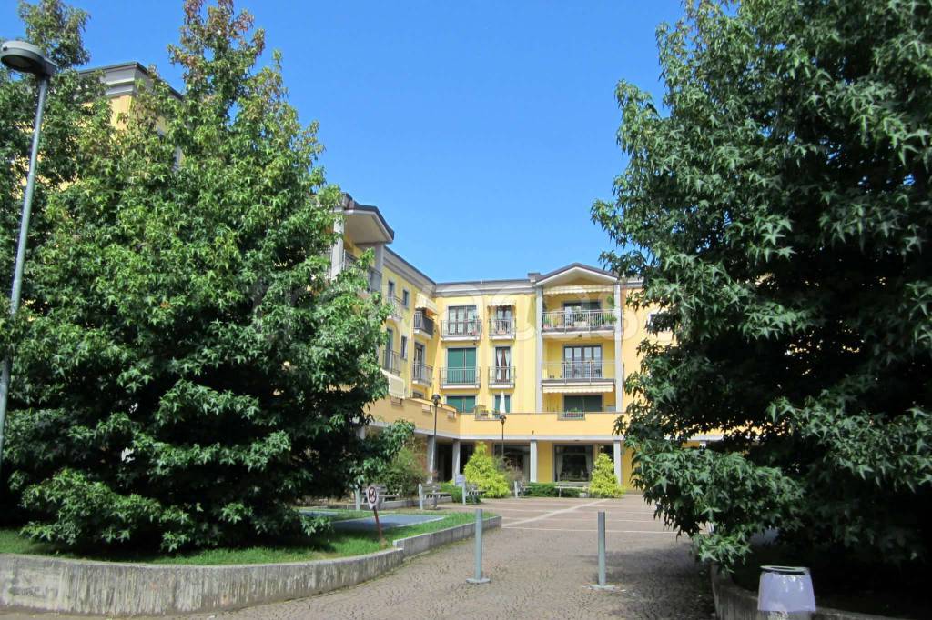 immagine annuncio 7 di 15