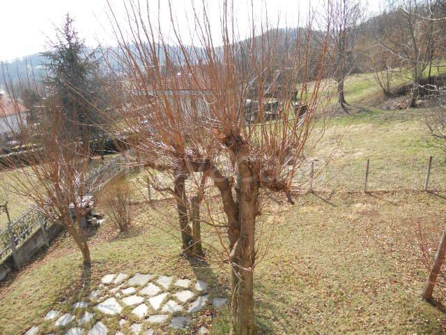 immagine annuncio 4 di 11