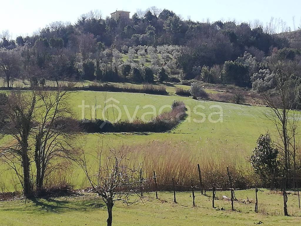 Terreno Agricolo in vendita a Caiazzo via Serpara