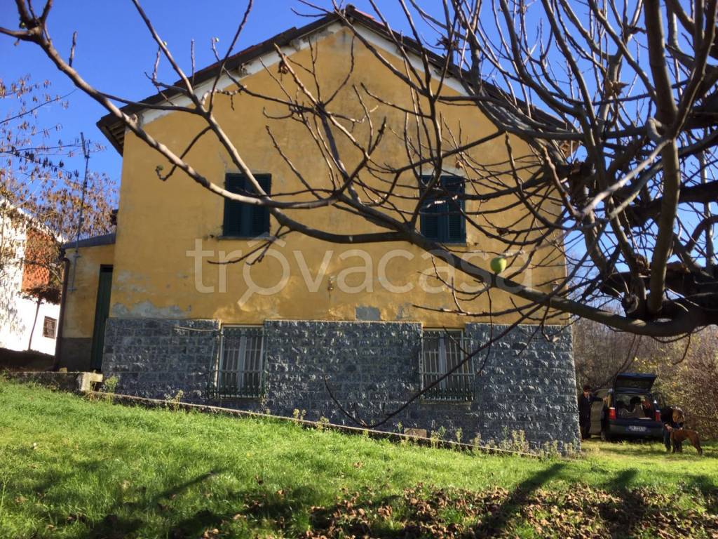 immagine annuncio 2 di 9