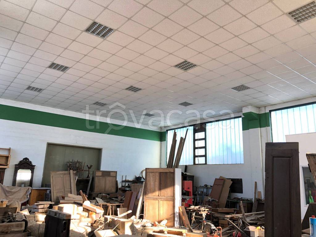 immagine annuncio 2 di 12