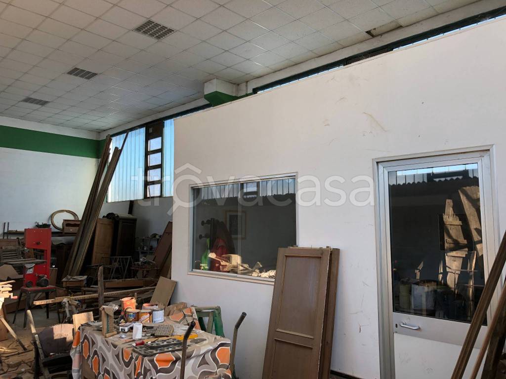 immagine annuncio 3 di 12