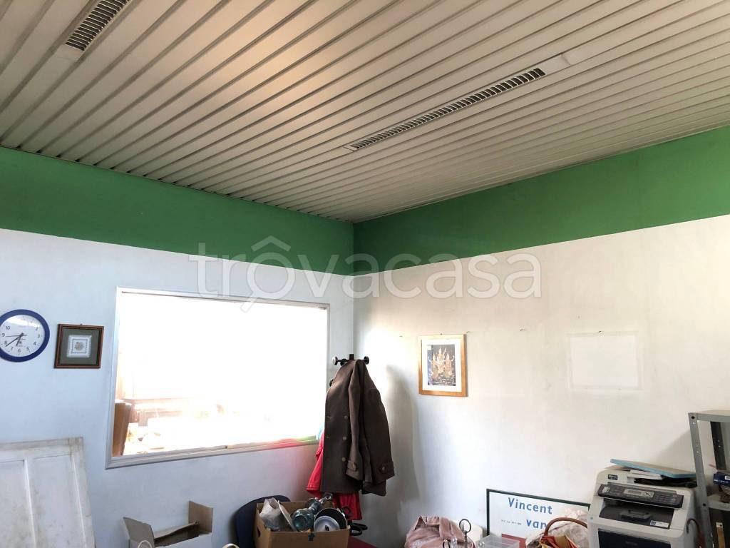 immagine annuncio 4 di 12