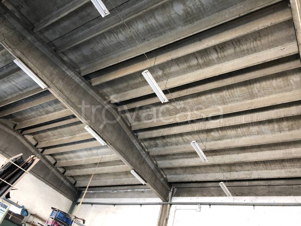 immagine annuncio 7 di 12