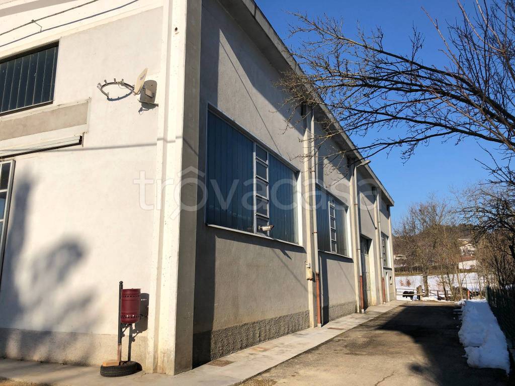 immagine annuncio 9 di 12