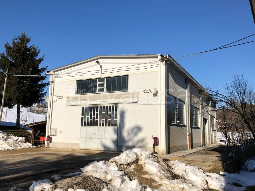 immagine annuncio 10 di 12