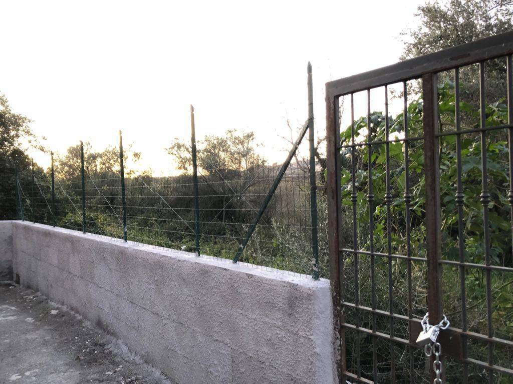 immagine annuncio 4 di 12