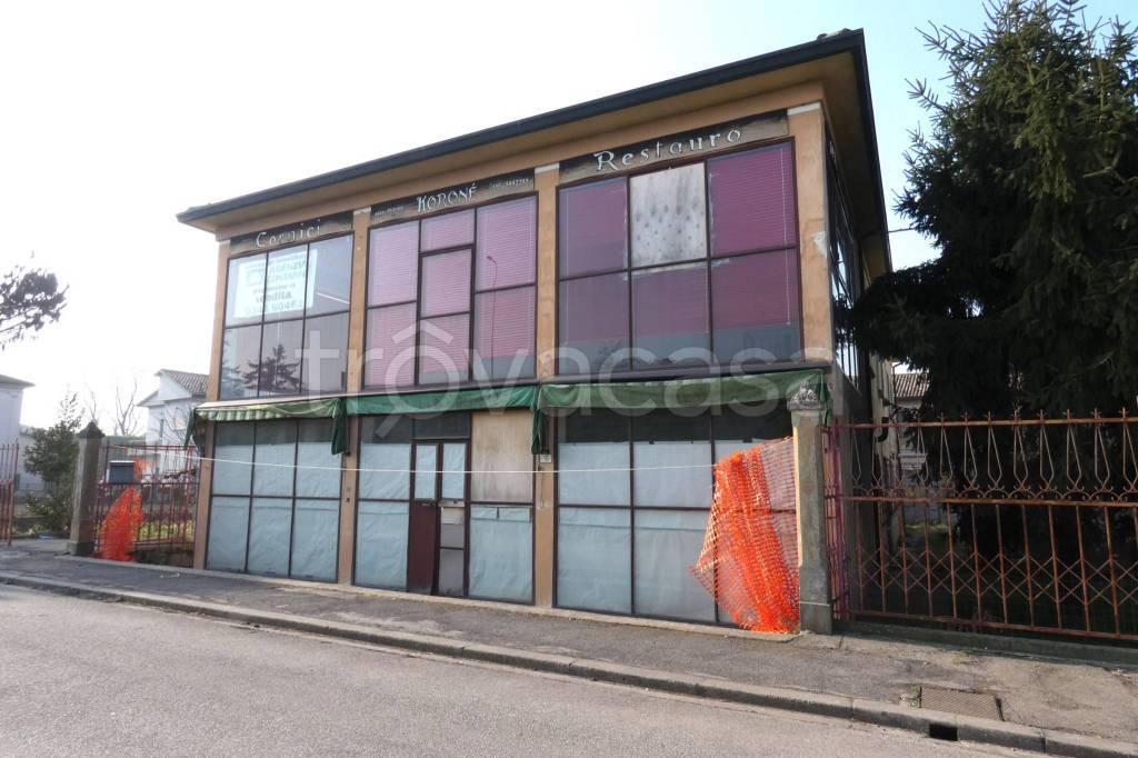 immagine annuncio 1 di 10