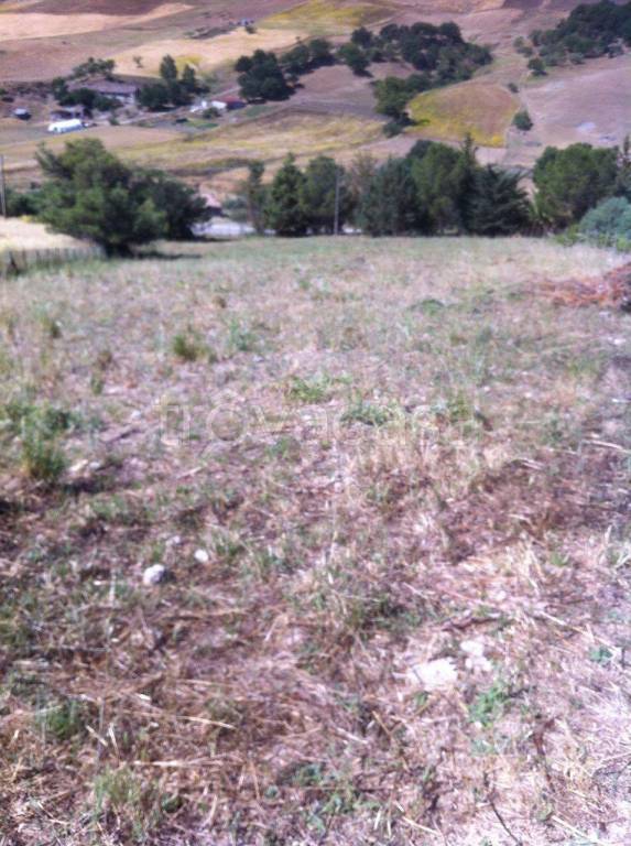 Terreno Agricolo in vendita a Nicosia sp20
