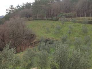 Terreno agricolo in vendita a san dorligo della valle dolina