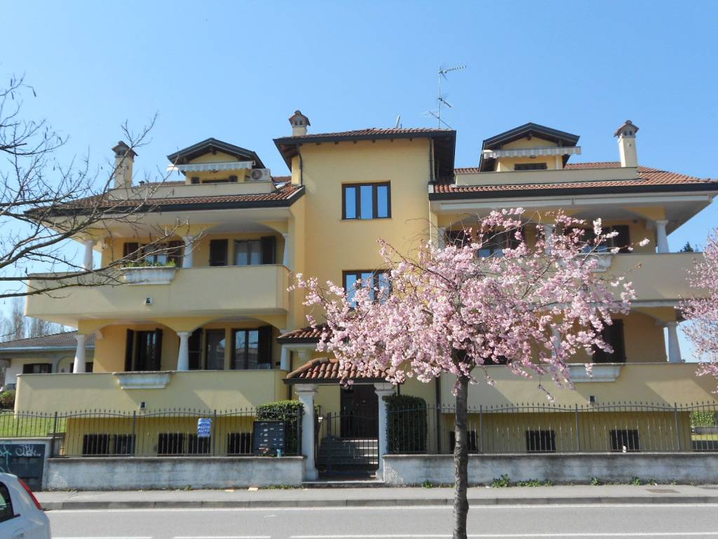 immagine annuncio 6 di 10