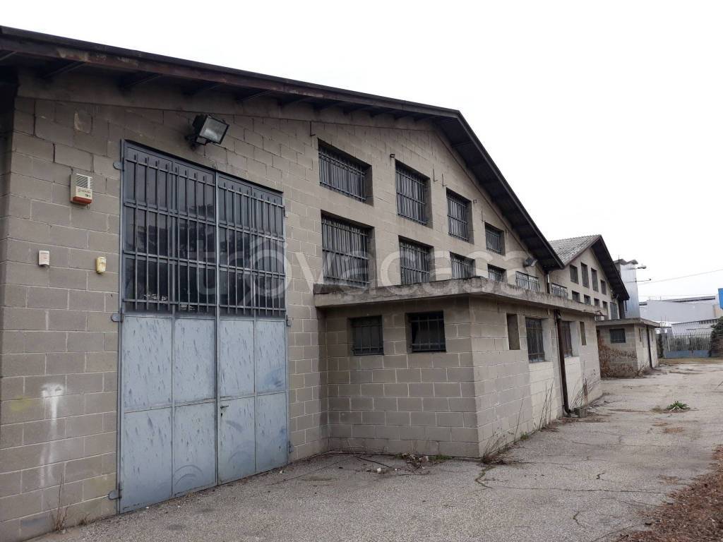 immagine annuncio 7 di 15