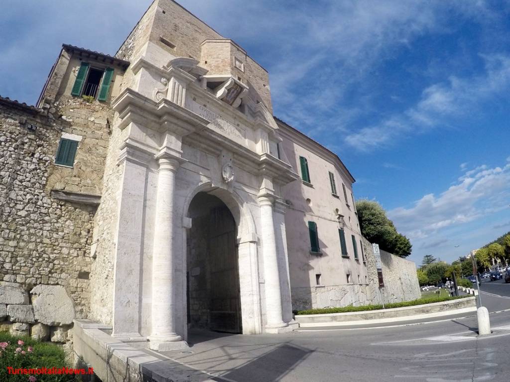 immagine annuncio 3 di 11