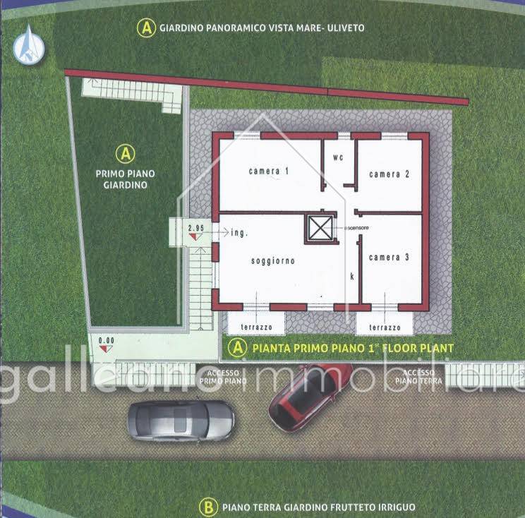 immagine annuncio 2 di 15