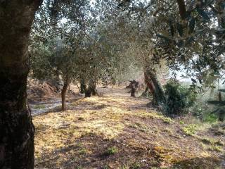 Terreno residenziale in vendita a quadrelle via chirio