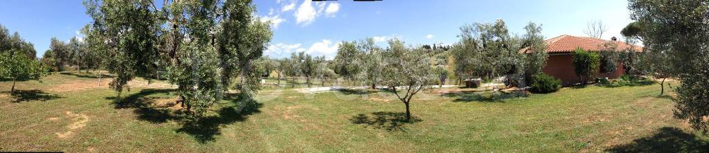 immagine annuncio 3 di 8
