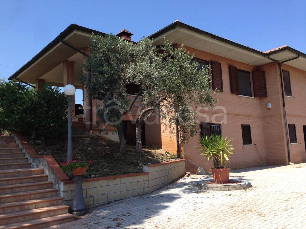 immagine annuncio 5 di 8