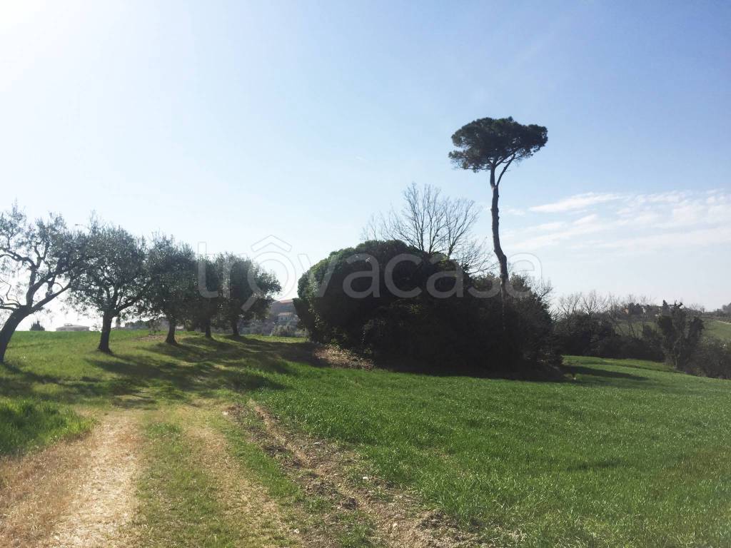 immagine annuncio 4 di 6