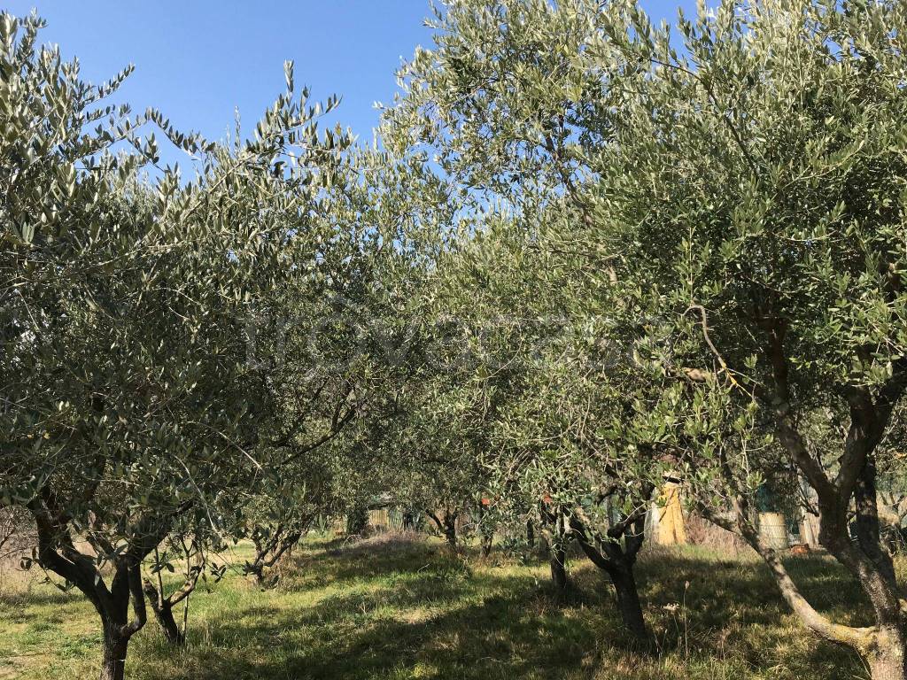 Terreno Agricolo in vendita a Riccione via Scacciano