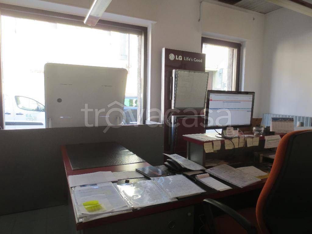 immagine annuncio 3 di 11