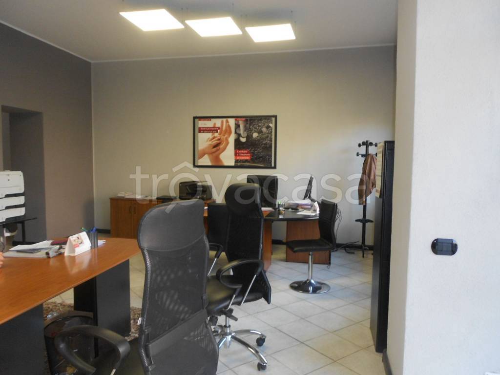 immagine annuncio 3 di 7