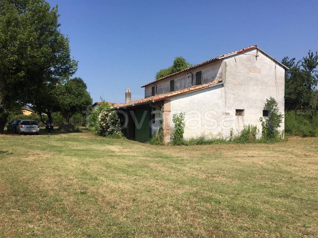 immagine annuncio 4 di 7