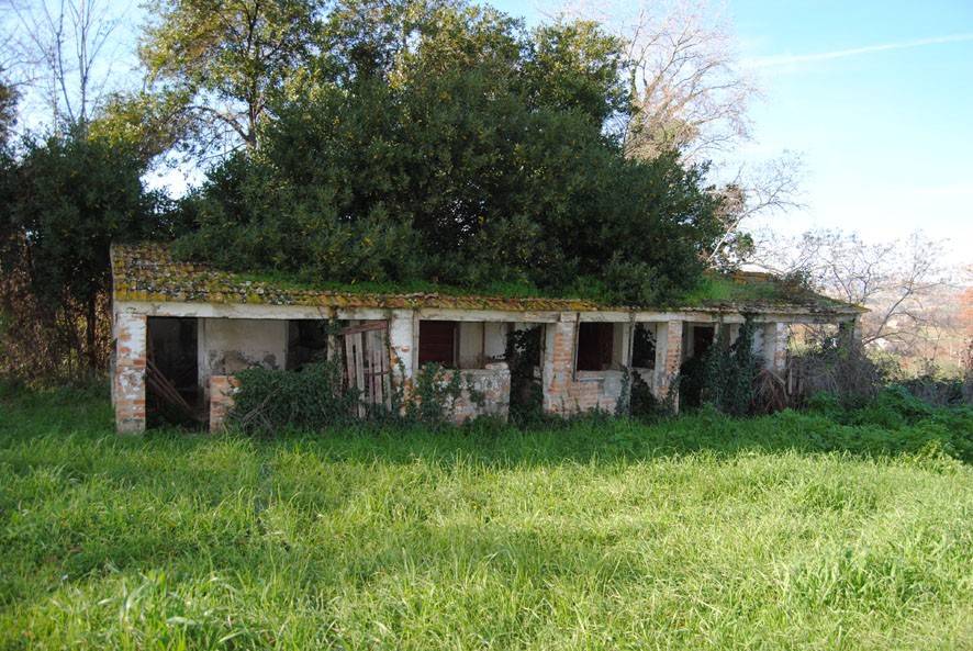 immagine annuncio 9 di 12