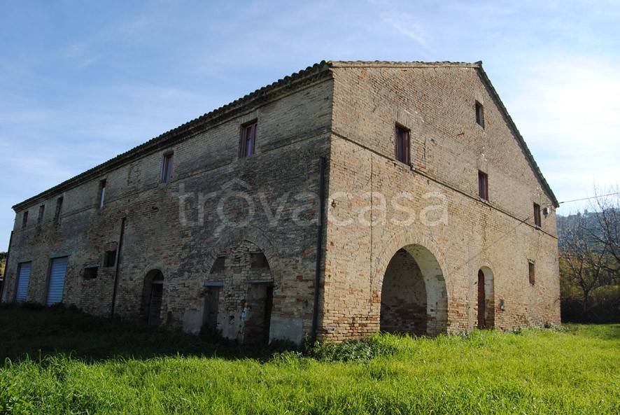 immagine annuncio 7 di 12