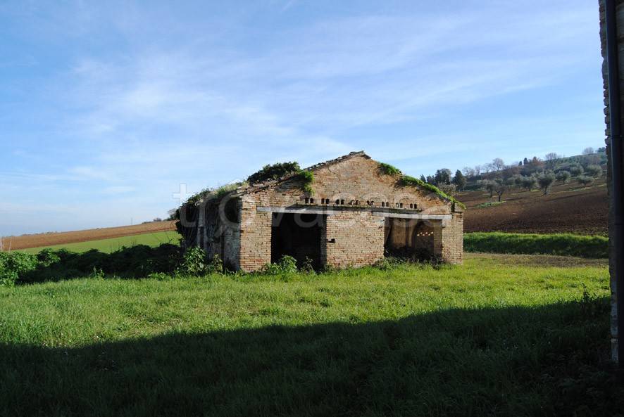 immagine annuncio 6 di 12