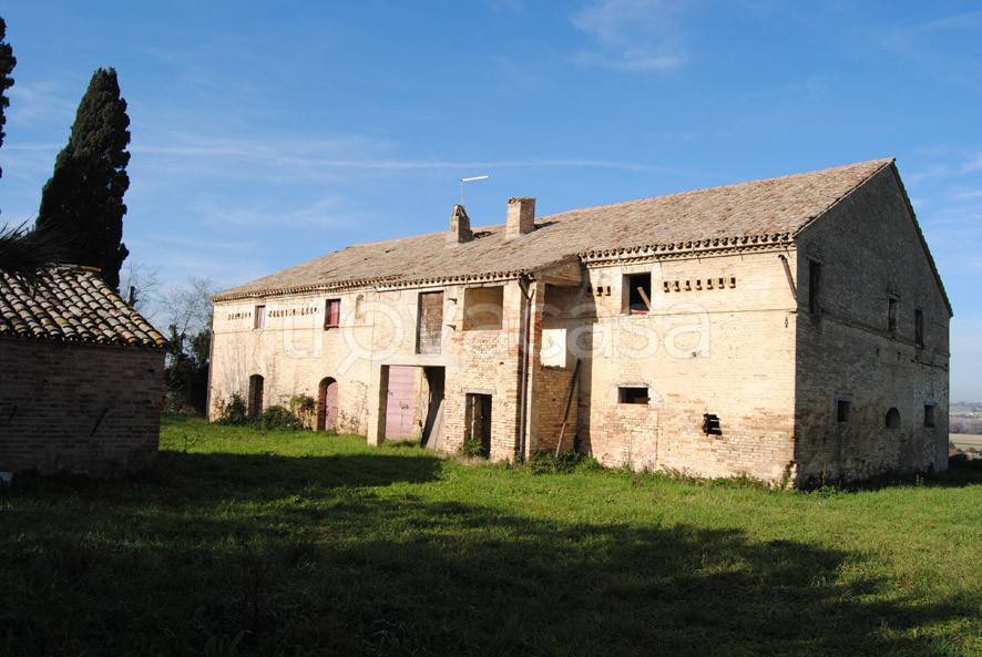 immagine annuncio 4 di 12