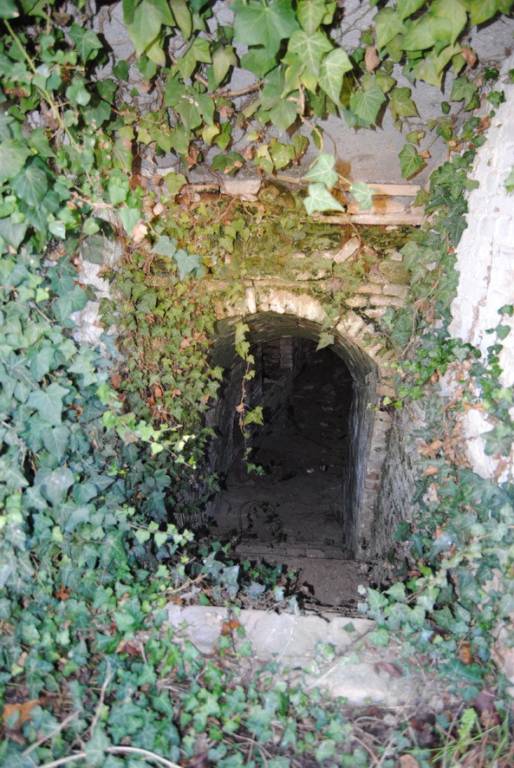 immagine annuncio 2 di 12