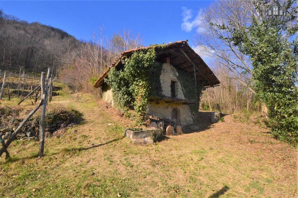 immagine annuncio 6 di 12
