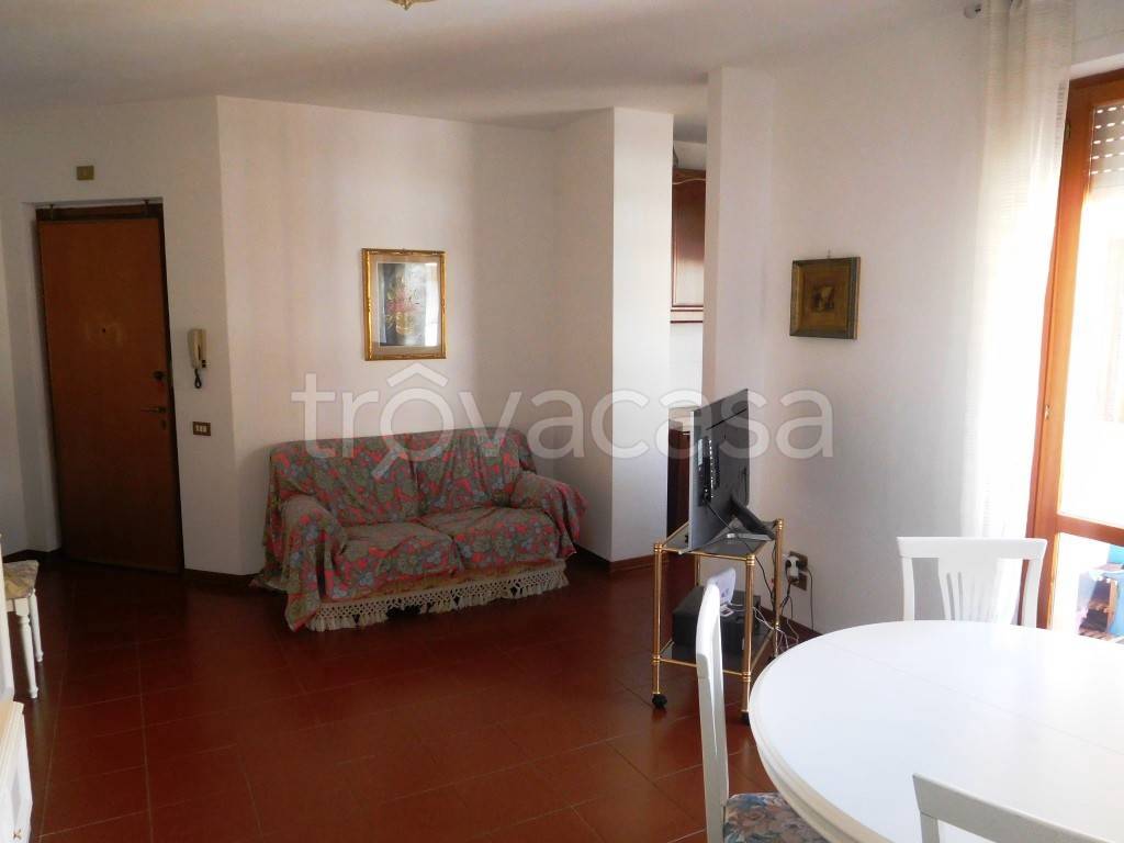 immagine annuncio 4 di 14