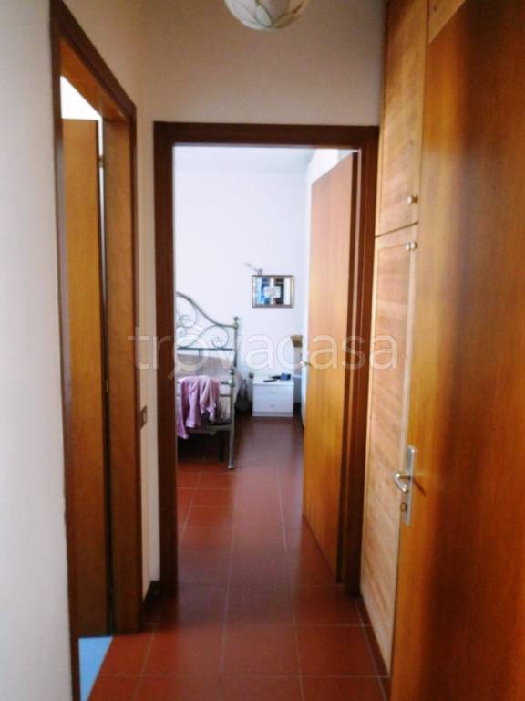 immagine annuncio 7 di 14