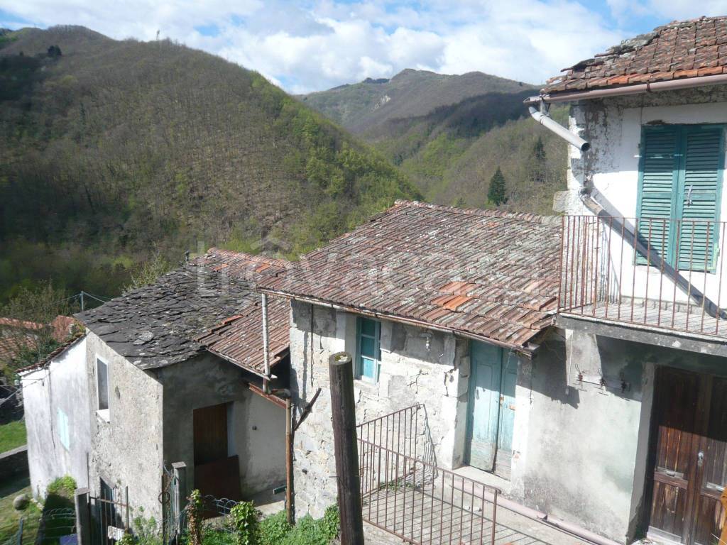 immagine annuncio 3 di 7