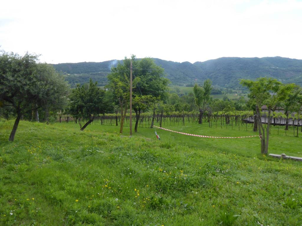 immagine annuncio 5 di 7