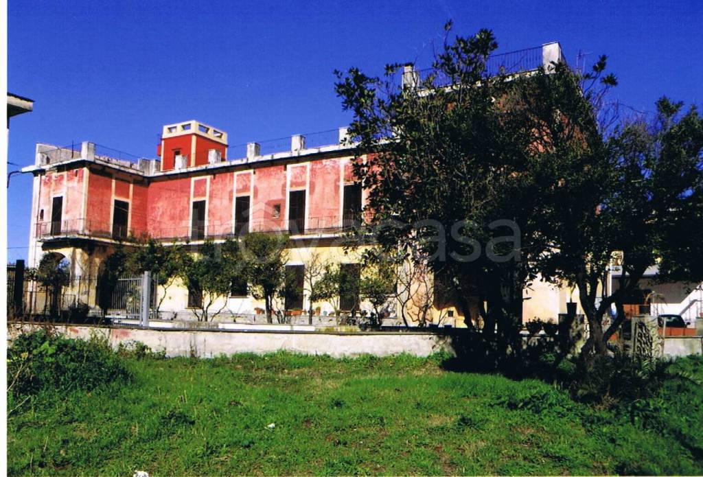 immagine annuncio 3 di 14
