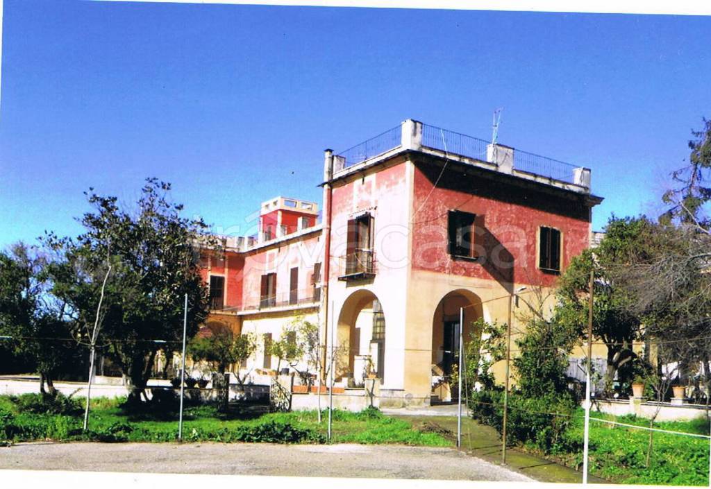 immagine annuncio 2 di 14