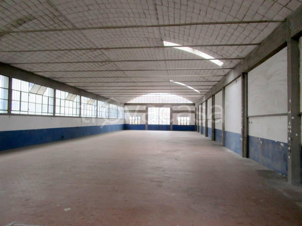 immagine annuncio 2 di 7