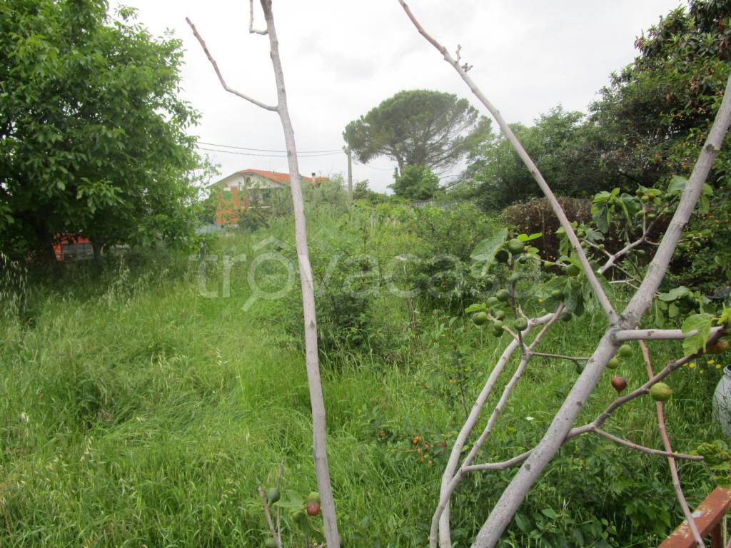 immagine annuncio 4 di 7
